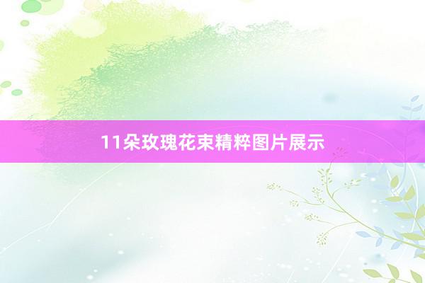 11朵玫瑰花束精粹图片展示
