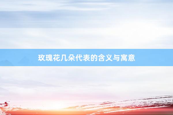 玫瑰花几朵代表的含义与寓意